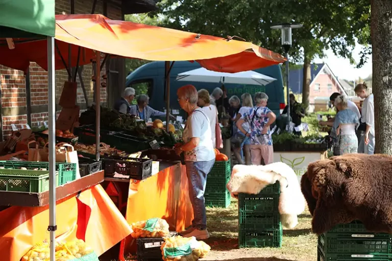 Herbstmarkt Schönberg