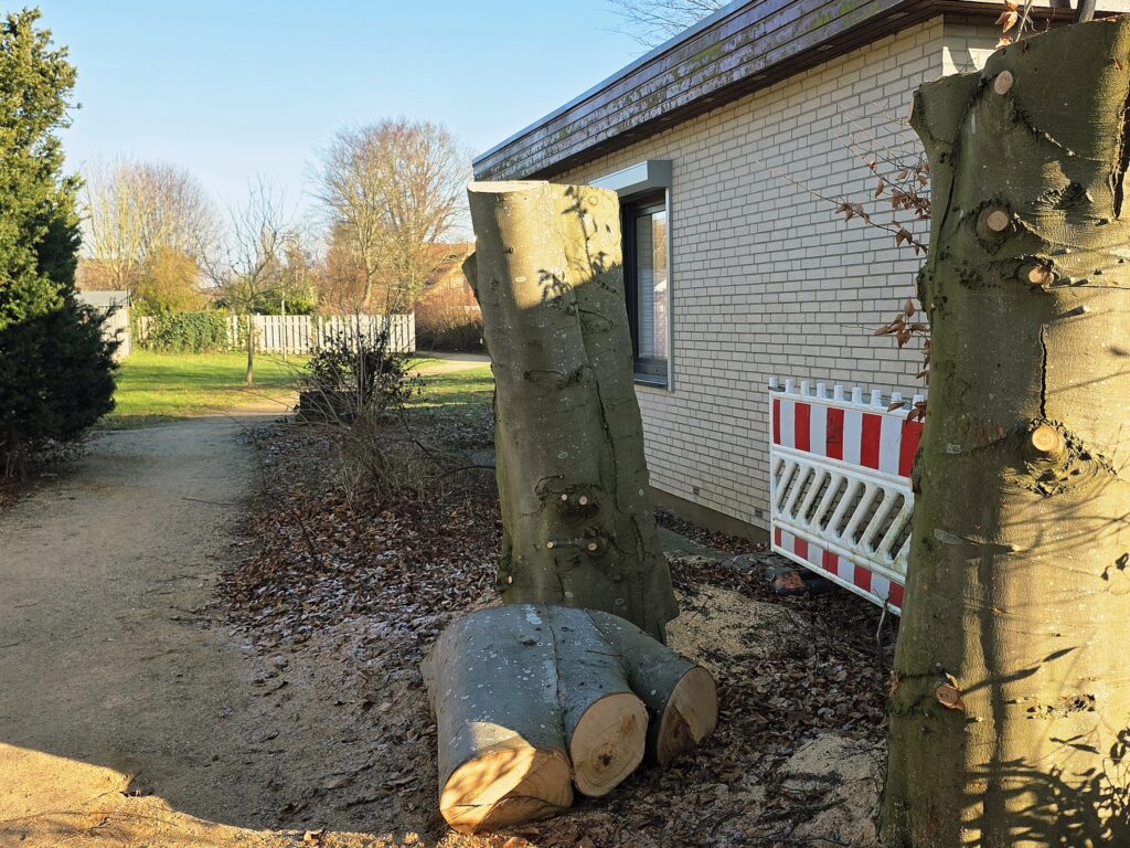 Baumfäll- und Pflegearbeiten